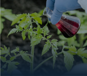 Agroindustria