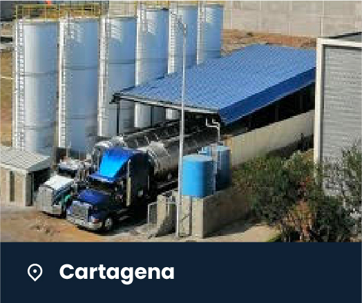 bodega-cartagena-100